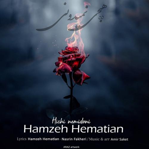 حمزه همتیان هیچی نمیدونی